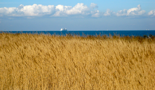 Ostsee Meeresblick auf Fehmarn